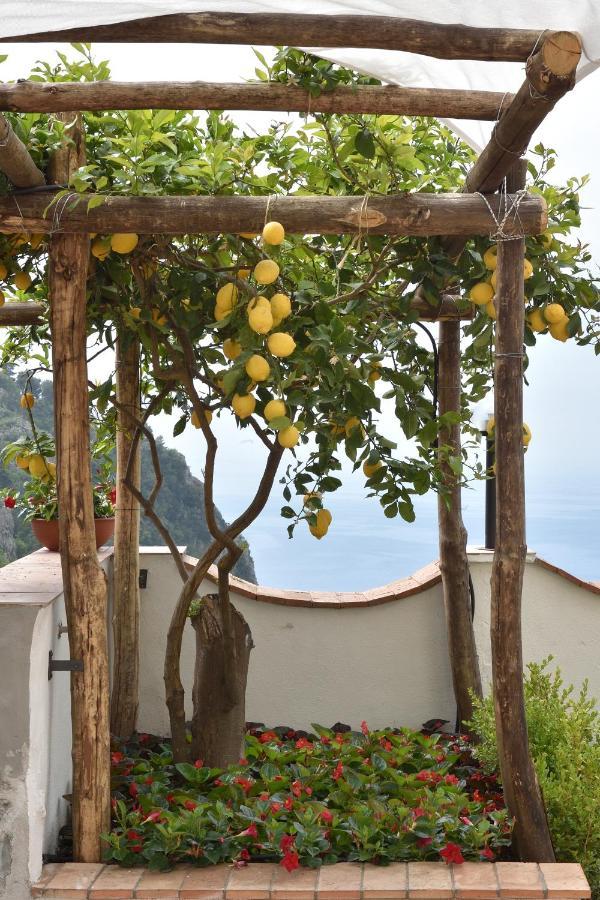 Amalfi Sky View Villa สกาลา ภายนอก รูปภาพ
